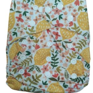 Cloth Diaper